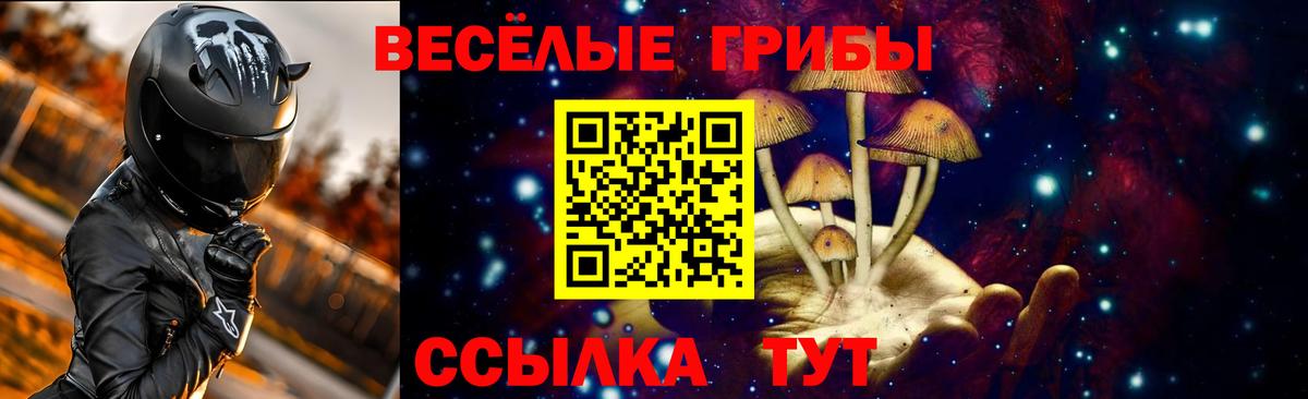Псилоцибиновые грибы прущие грибы  Вход с VPN  Сочи 